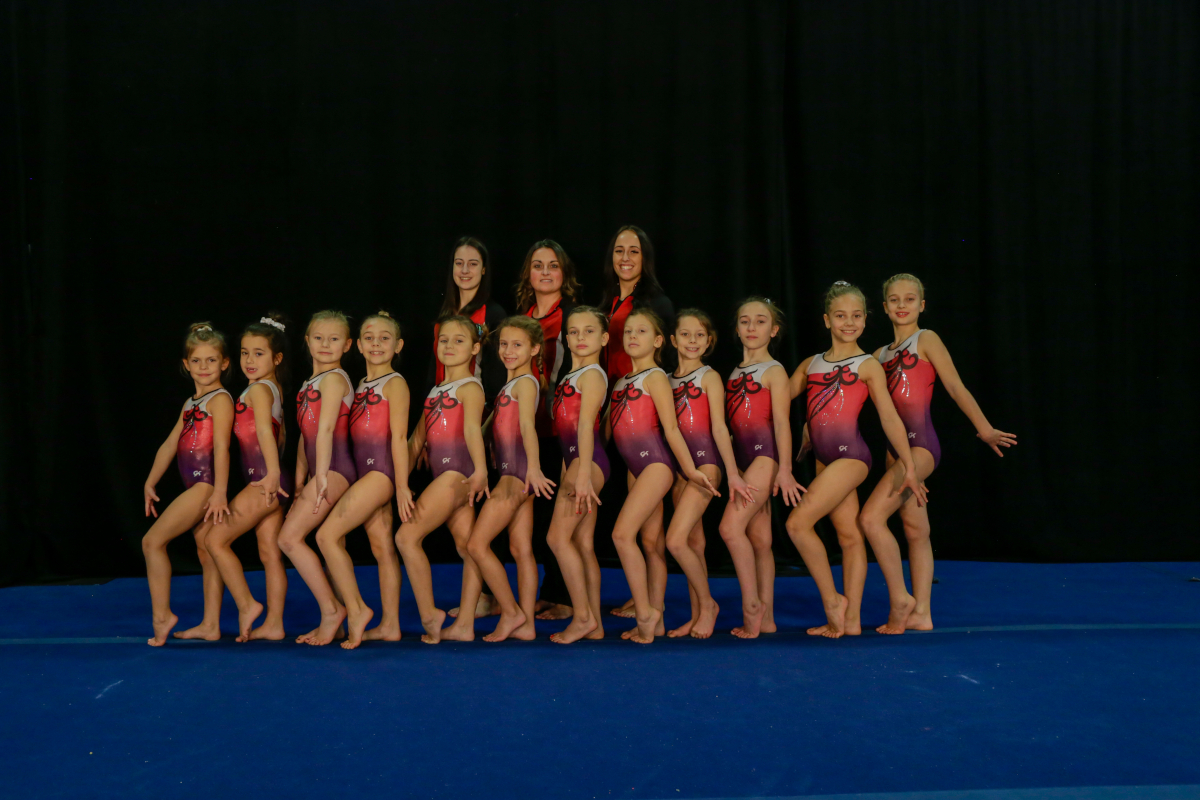 gymnaska_voltigeurs_page_option-sport